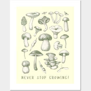 Mushrooms Mushroom lover Posters and Art